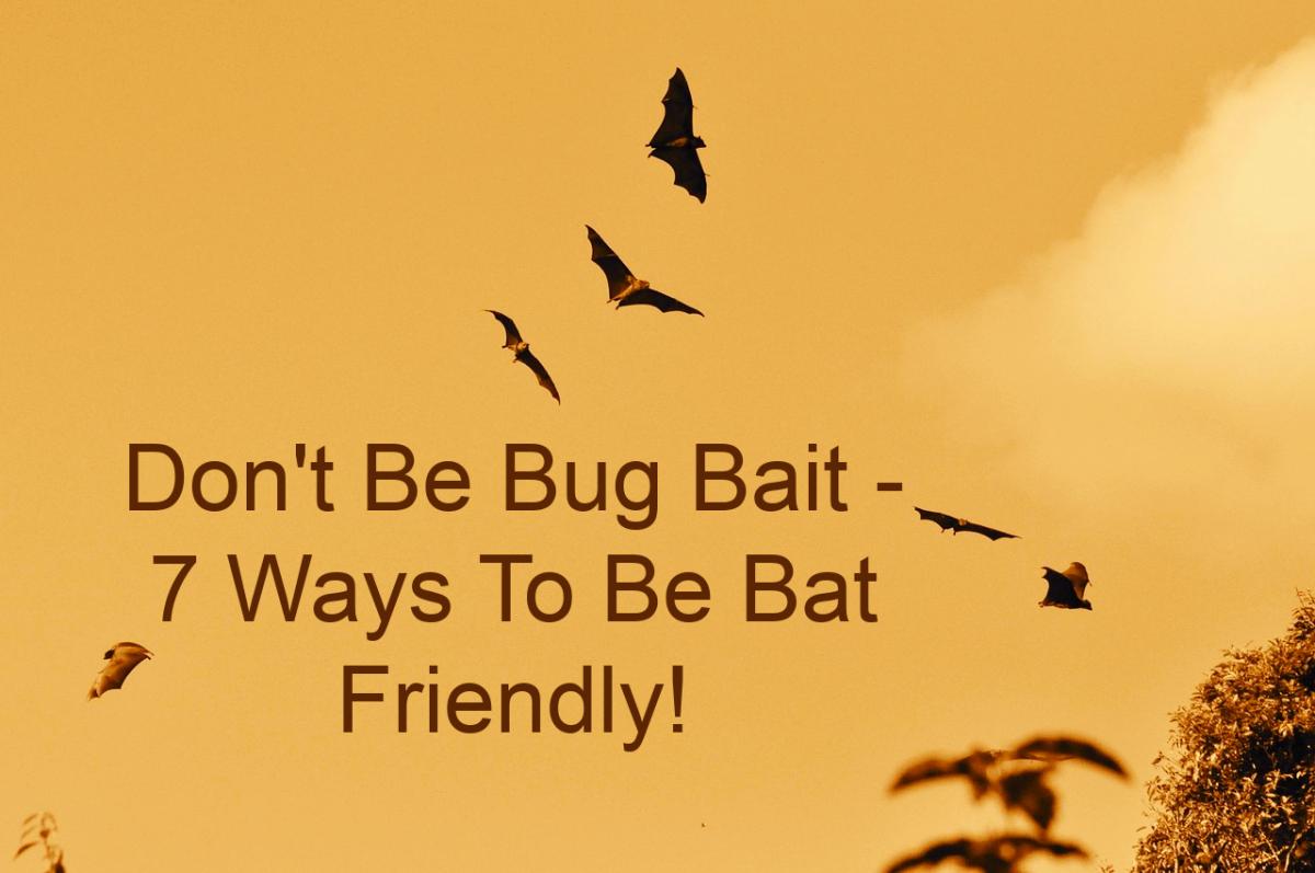 Plants that attract insects that bats enjoy!