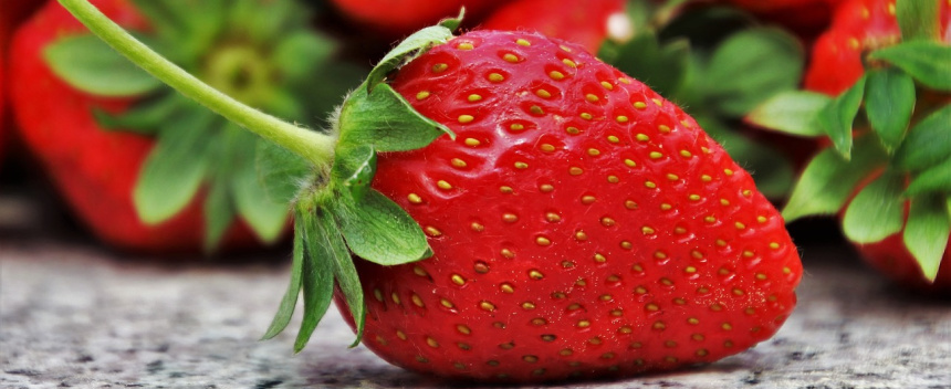 Bare Root Strawberry Plants Now Shipping - 4 Varieties to Choose From!