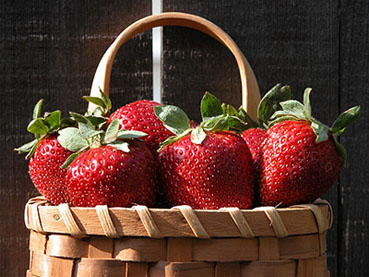 Strawberry Plants