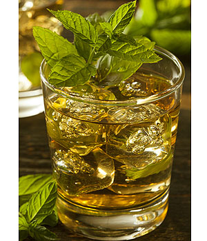 Mint Julep Mint