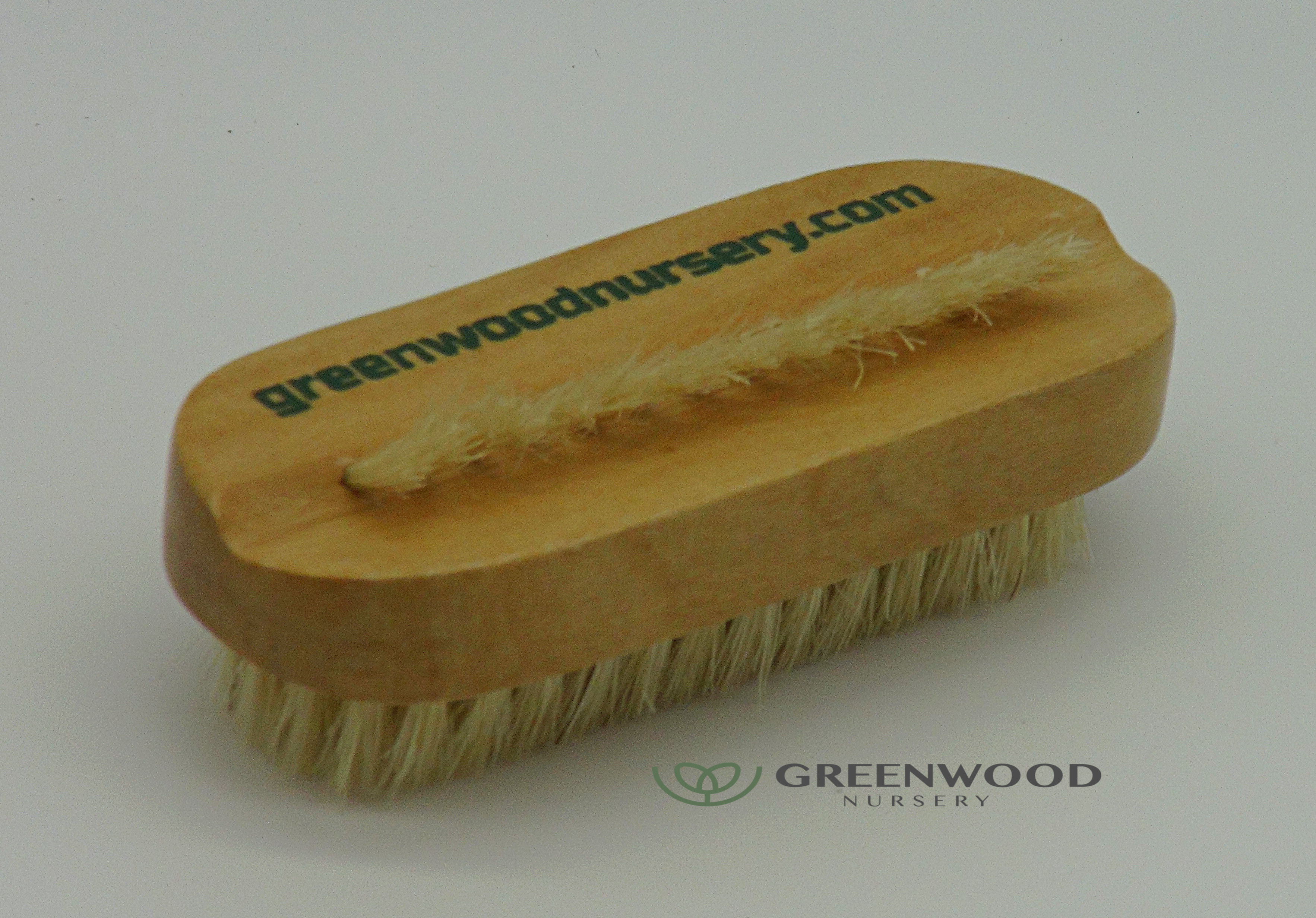 Wooden Natural Bristle Nail Brush