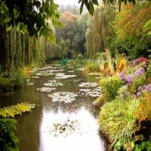 Bog Garden Plants